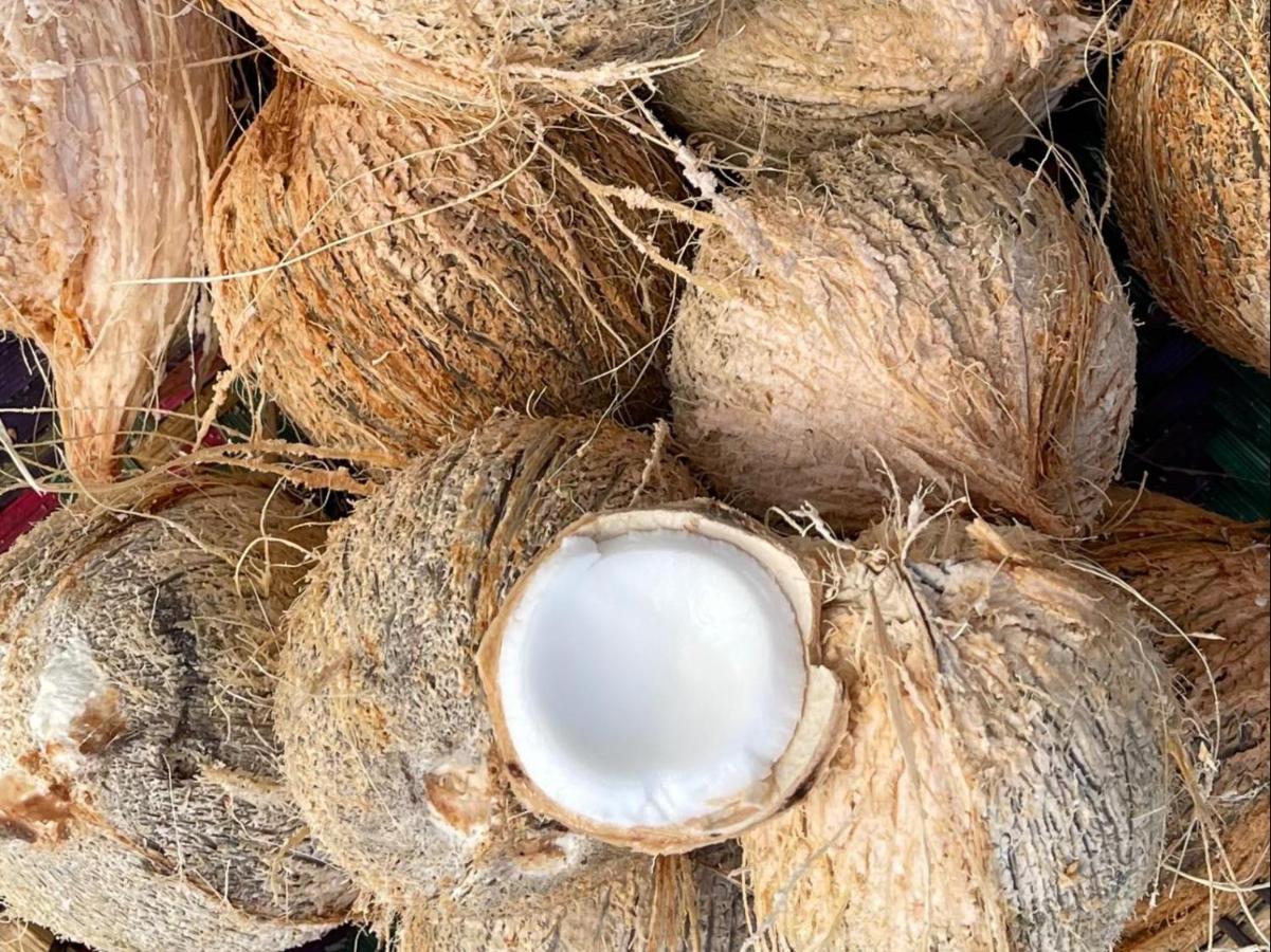 Homeland Bro 达累斯萨拉姆 外观 照片